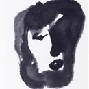 images/galeries/16/vignettes/SdKV 15.jpg